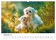 Thumbnail-10