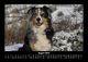 Thumbnail-12