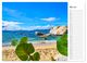 Thumbnail-7