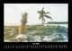Thumbnail-11