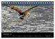 Thumbnail-14