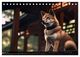 Thumbnail-10