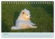 Thumbnail-12