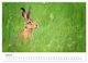 Thumbnail-9