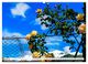 Thumbnail-8