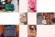 Thumbnail-9
