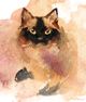 Thumbnail-13