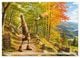 Thumbnail-14