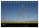 Thumbnail-9