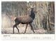 Thumbnail-9