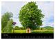 Thumbnail-8