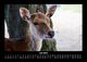 Thumbnail-11