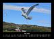 Thumbnail-9