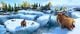 Thumbnail-10