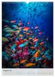 Thumbnail-13