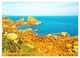 Thumbnail-10