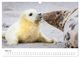 Thumbnail-10