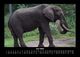 Thumbnail-10