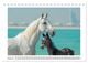 Thumbnail-10