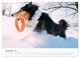 Thumbnail-14