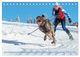 Thumbnail-2