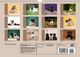 Thumbnail-13