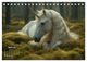 Thumbnail-9