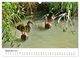Thumbnail-14