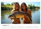 Thumbnail-11