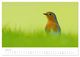 Thumbnail-12