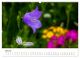 Thumbnail-9