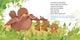 Thumbnail-7