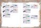 Thumbnail-13