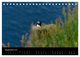 Thumbnail-14