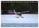 Thumbnail-9