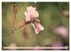 Thumbnail-10