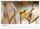 Thumbnail-11