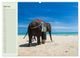 Thumbnail-8