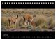 Thumbnail-9