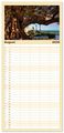 Thumbnail-13