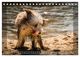 Thumbnail-9