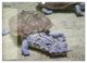 Thumbnail-12