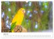Thumbnail-11