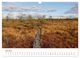 Thumbnail-11