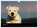 Thumbnail-14