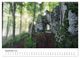 Thumbnail-14