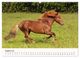 Thumbnail-13