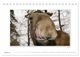 Thumbnail-13