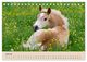 Thumbnail-12