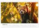 Thumbnail-12